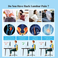 Spine Support Pillow Combo : Coccyx Pillow & Back Rest