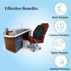 Spine Support Pillow Combo : Coccyx Pillow & Back Rest