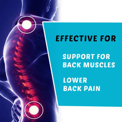 Back Pain Relief Belt JSB BS08 for Lumbar Exercise and Posture Correction (XL) - JSB Healthcare