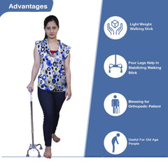 Walking Stick India 4 Leg
