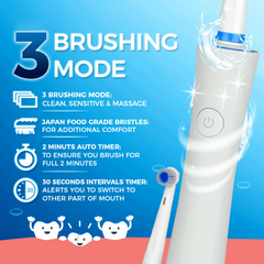 Power Tooth brush Rechargeable Waterproof with 2 Brush Heads