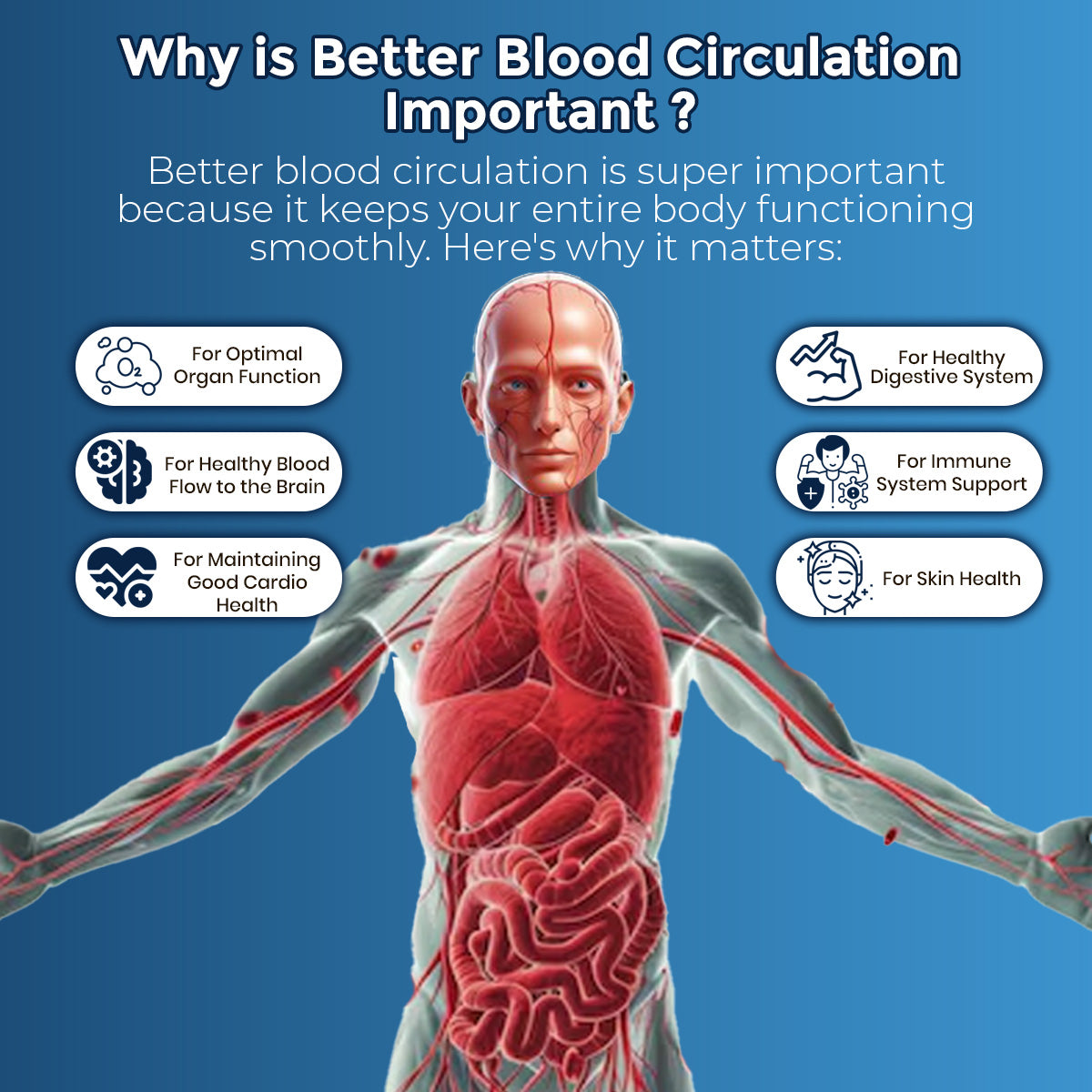 Why is Better Blood Circulation Important for You
