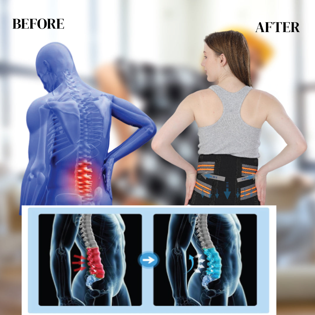 benefits of back support belt universal size jsb bs02