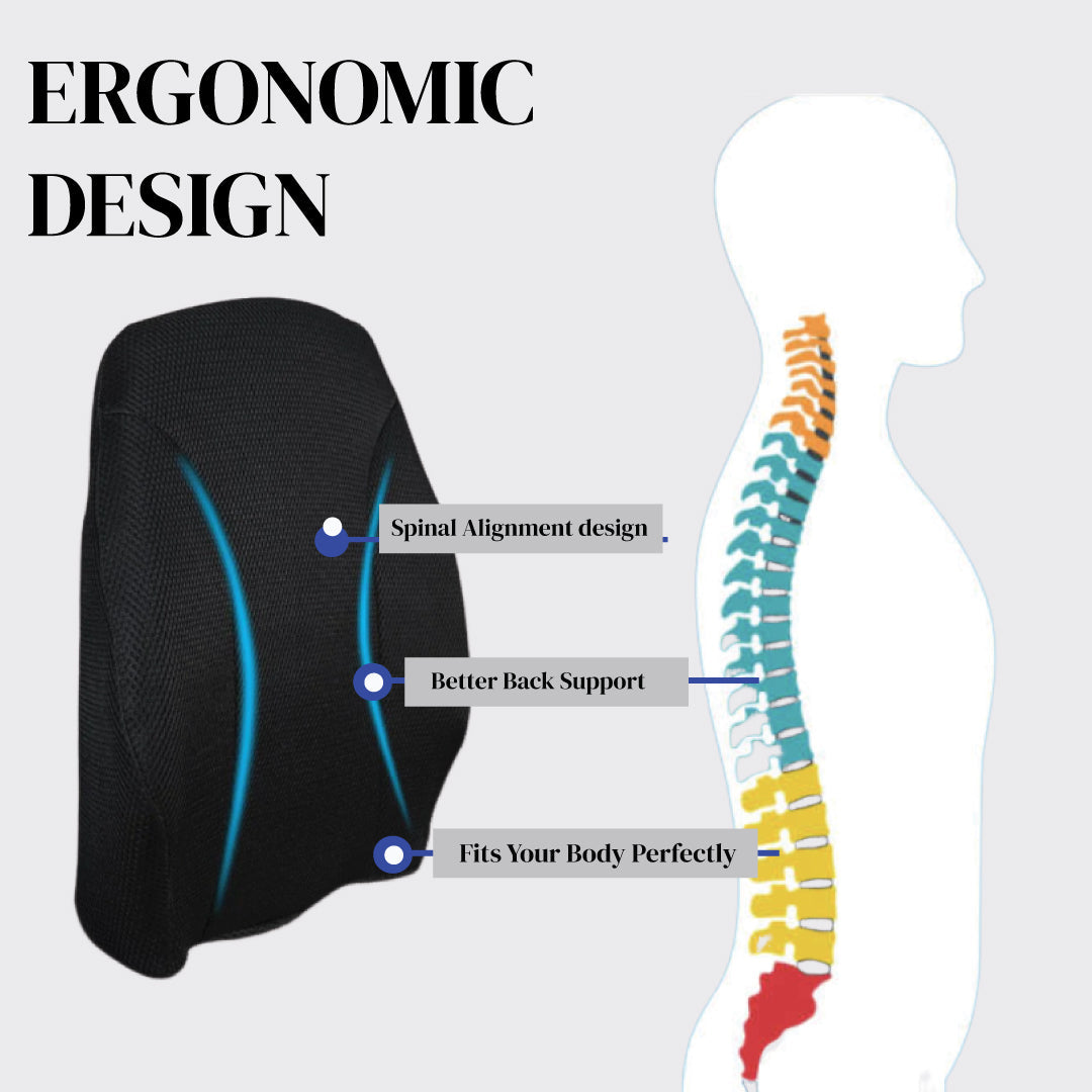 Back Pain Relief Products Combo I JSB Back Rest & Lumbar Support Belt