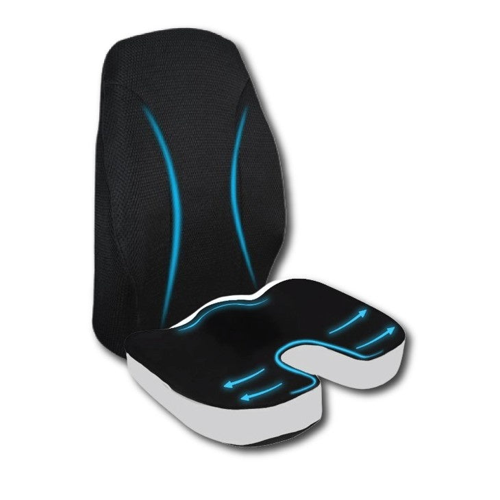 Spine Support Pillow Combo
